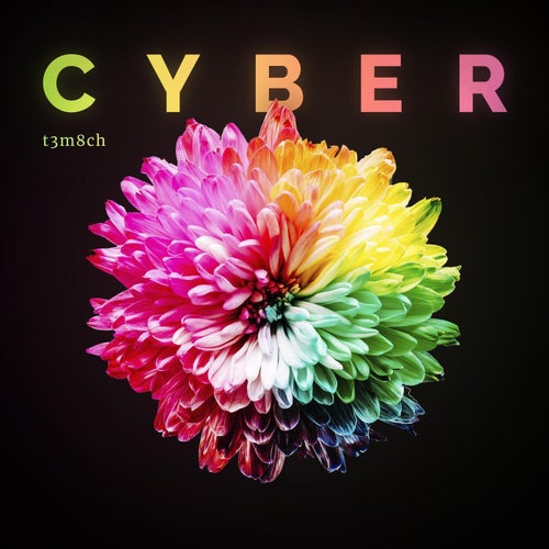 Cyber