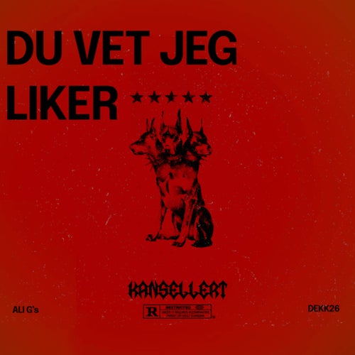 Du Vet Jeg Liker (Ali G's)