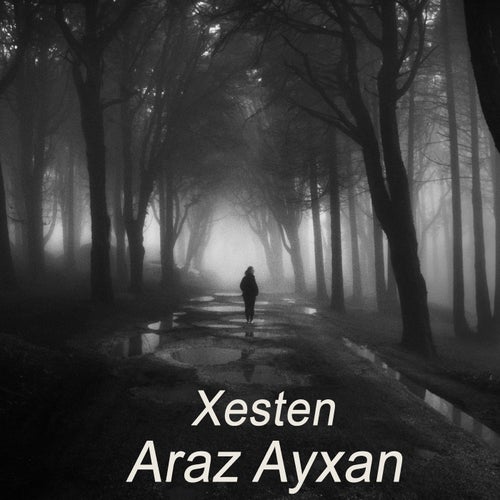 Xesten