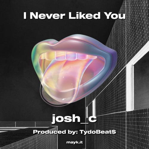 I Never Liked You