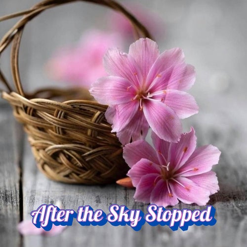 After the Sky Stopped