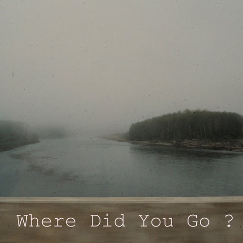 Where Did You Go  (feat. Markus Apitius & Céline)