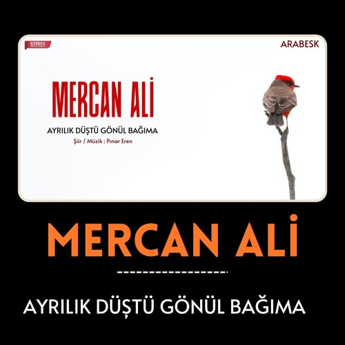 Ayrılık Düştü Gönül Bağıma