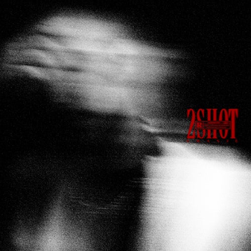 2SHOT