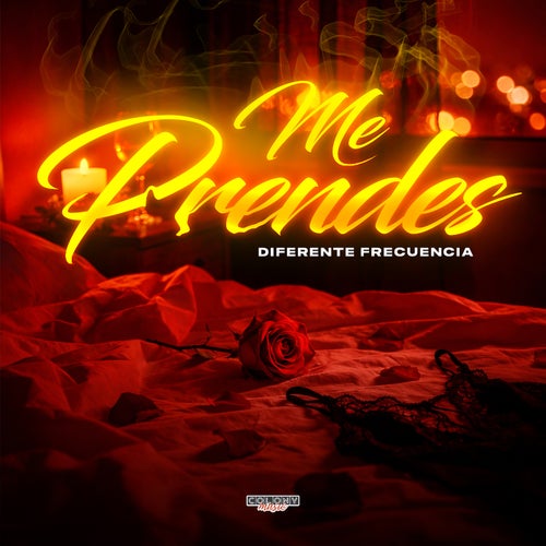 Me Prendes