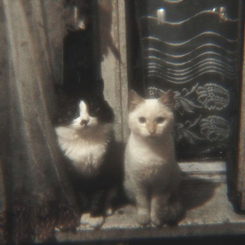 Виртуальная любовь