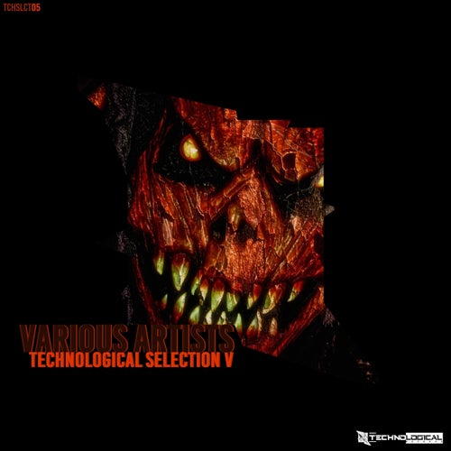 TECHNOLOGICAL SELECTION 05