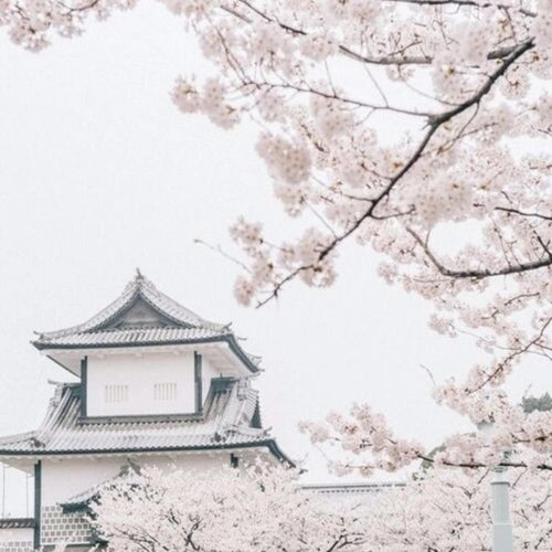 rainy day in tokyo