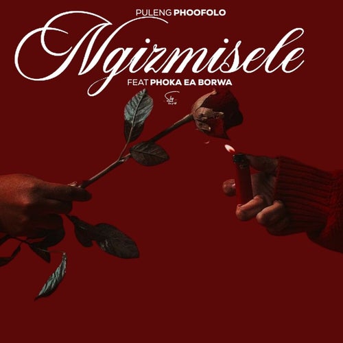 Ngizmisele