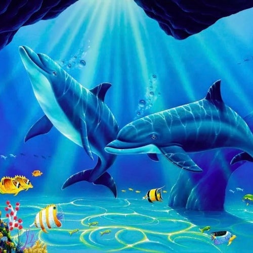 dolphin boogie