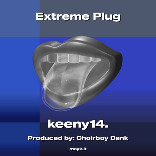 Plug