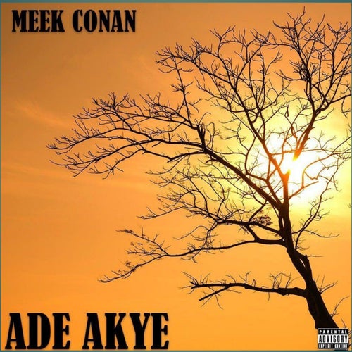 Ade Akye