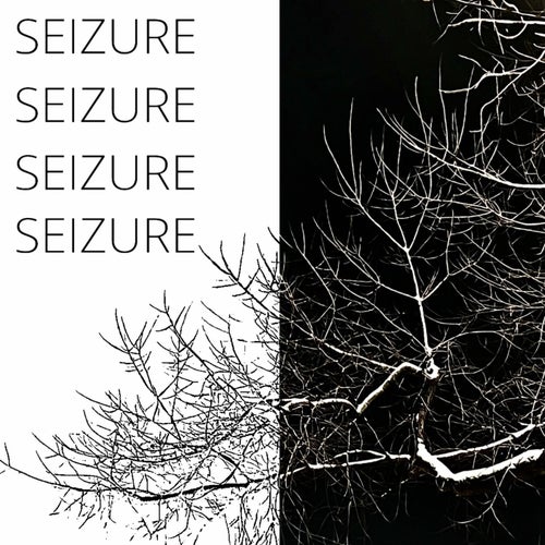 Seizure