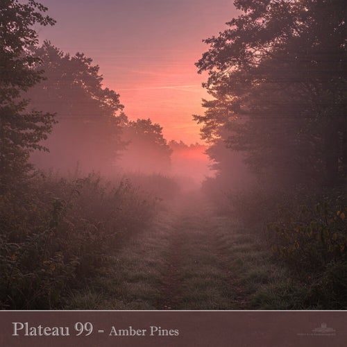 Amber Pines
