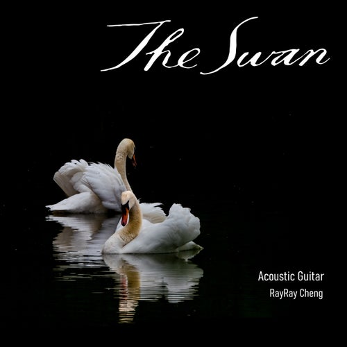 The Swan