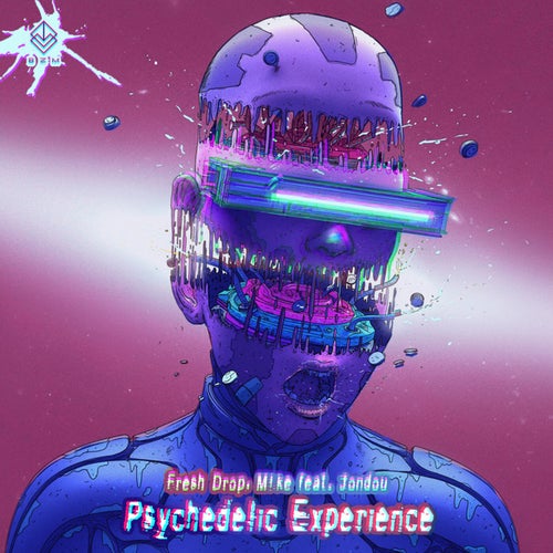 Psychedelic Experience