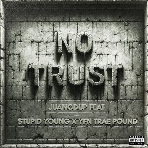 No Trust (feat. $tupid Young & YFN Trae Pound)