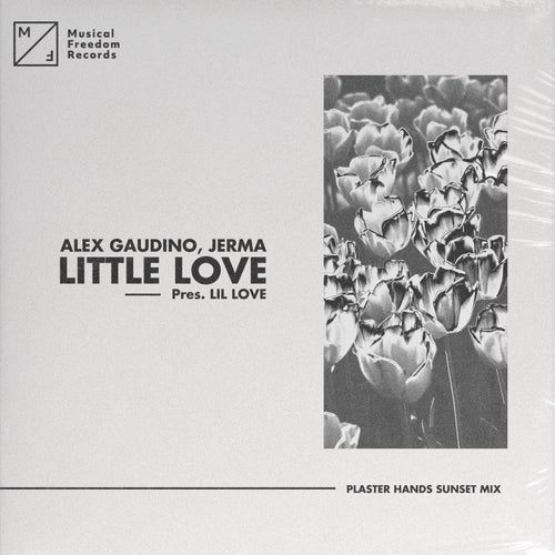 Little Love (pres. Lil' Love) [Plaster Hands Sunset Mix]