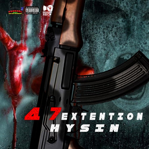 47 Extension