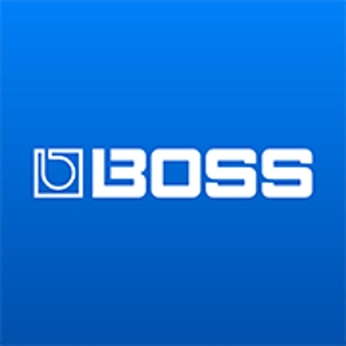 Boss Profile