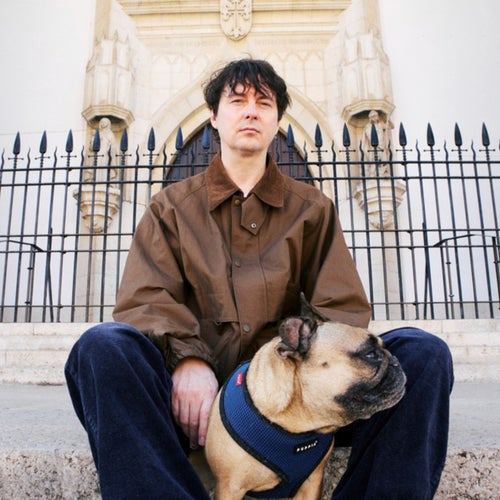 Panda Bear Profile