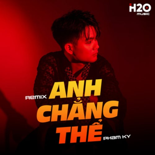 Anh Chẳng Thể (Remix)