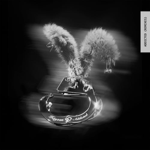 Addicted (Remixes)