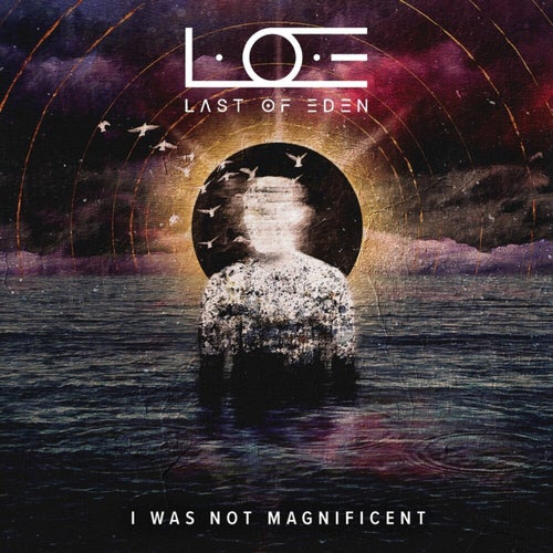 I Was Not Magnificent