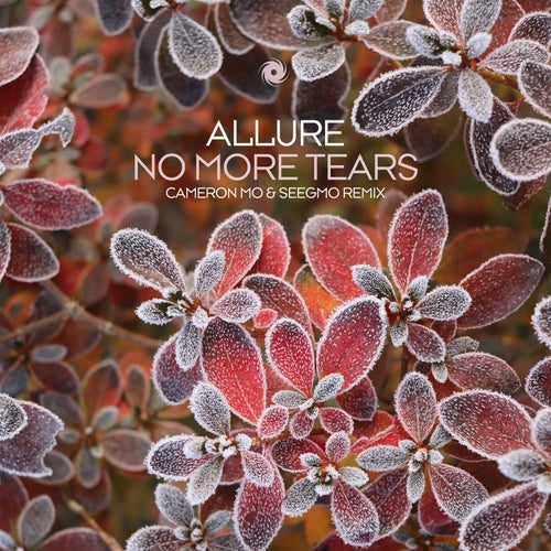 No More Tears (Cameron Mo & Seegmo Remix)