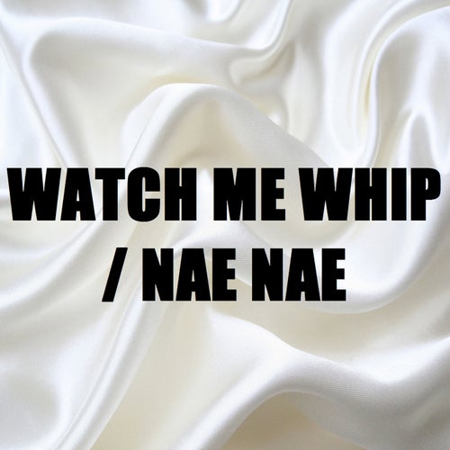 Watch Me Whip /Nae Nae (In the Style of Silento) [Karaoke Version]