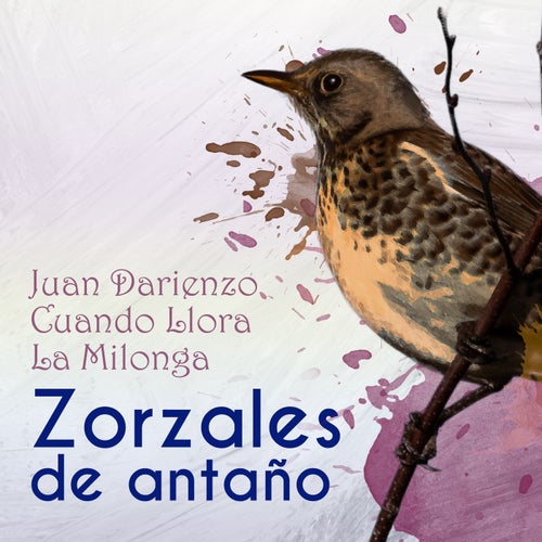 Zorzales de Antaño - Juan Darienzo - Cuando Llora La Milonga