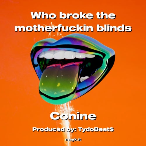 Who broke the m*********** blinds