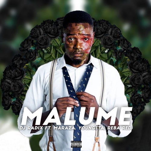 Malume (feat. Reba Red, Youngsta CPT and Maraza)