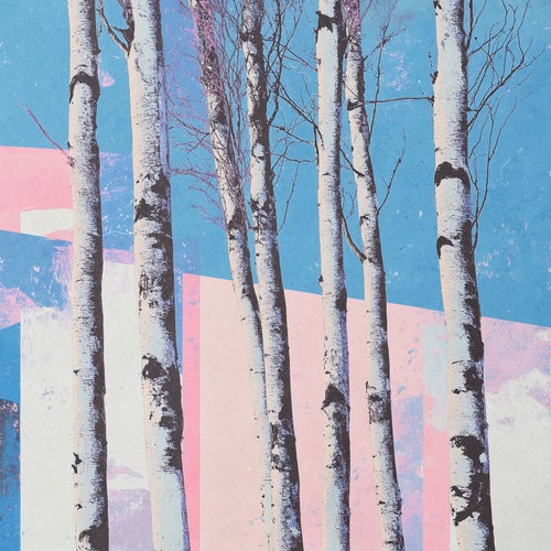 birch trees