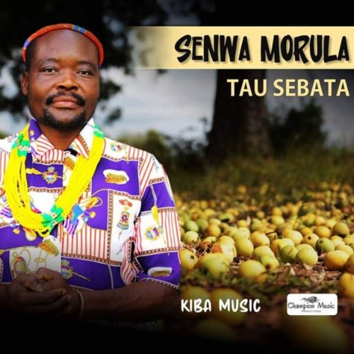 Senwa Morula