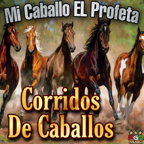 Mi Caballo El Profeta