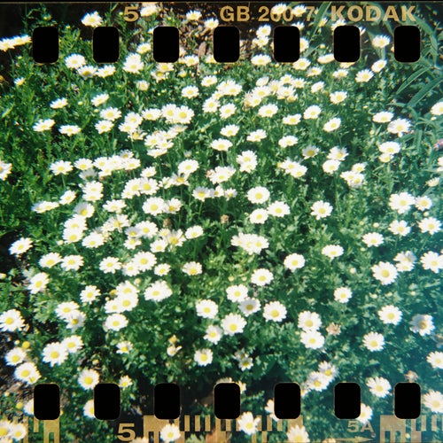 daisy chains