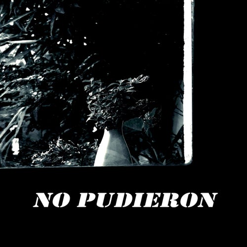 No Pudieron