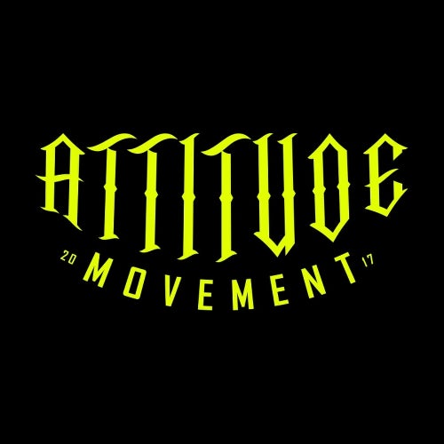 Attitude Movement Profile