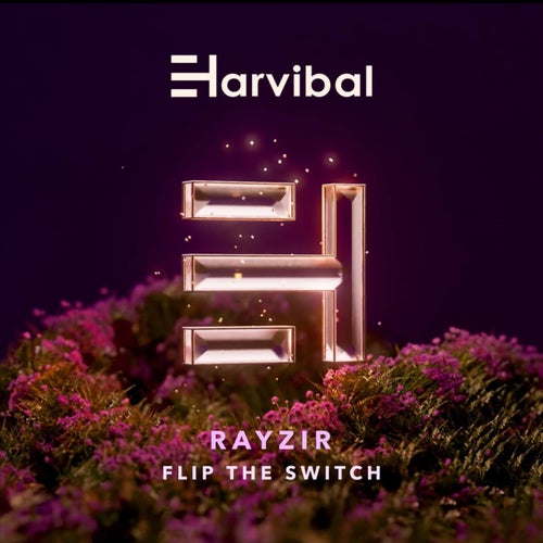 Flip The Switch