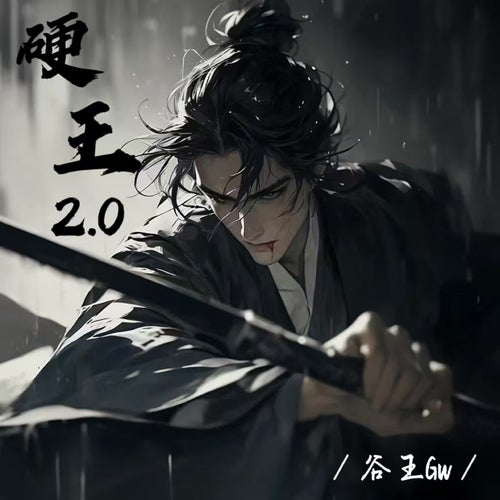 硬王2.0
