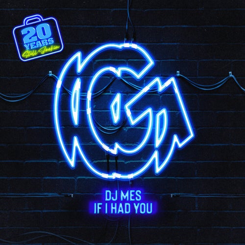 If I Had You