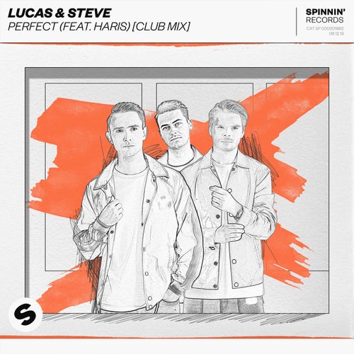 Perfect (feat. Haris) (VIP Mix)