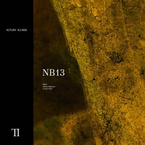 NB13