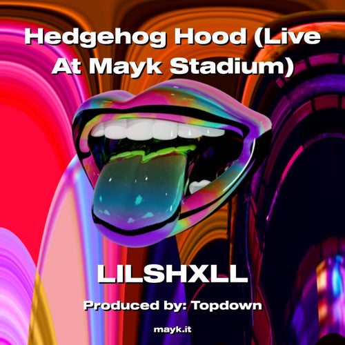 Hedgehog Hood (Live At Mayk Stadium)