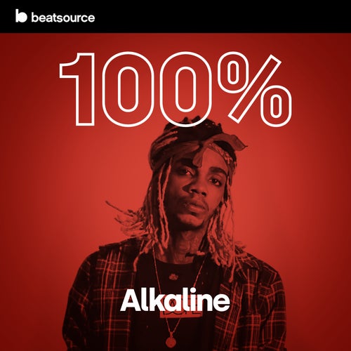 100% Alkaline Album Art