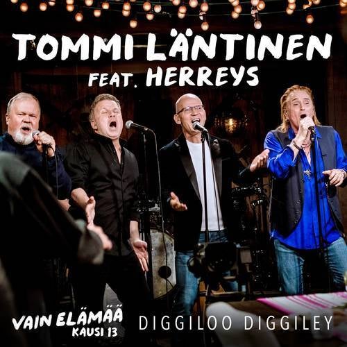 Diggiloo Diggiley (Vain elämää kausi 13)