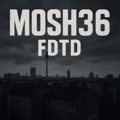 FDTD