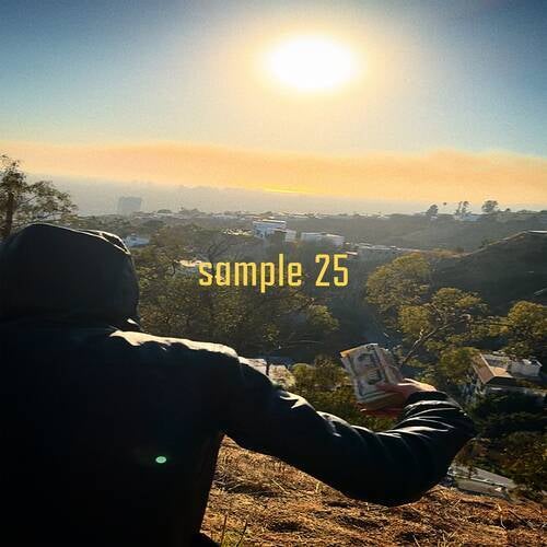 Sample 25