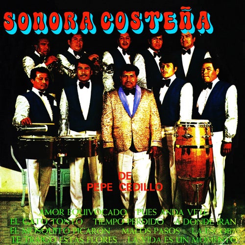 Sonora costena de Pepe Cedillo